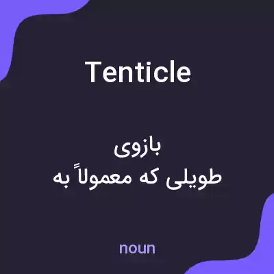 معنی tenticle به فارسی