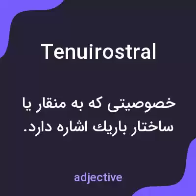 معنی tenuirostral به فارسی معنی tenuirostral به فارسی