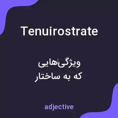 معنی tenuirostrate به فارسی معنی tenuirostrate به فارسی