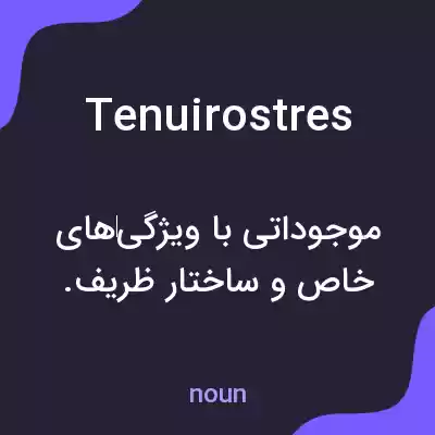 معنی tenuirostres به فارسی معنی tenuirostres به فارسی