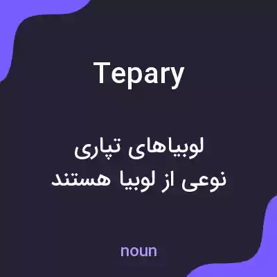 معنی tepary به فارسی