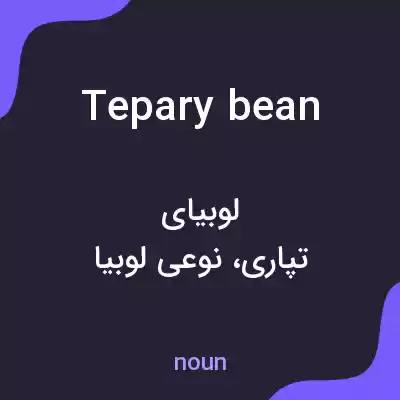 معنی tepary bean به فارسی معنی tepary bean به فارسی