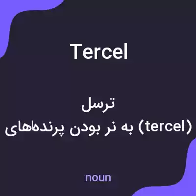 معنی tercel به فارسی معنی tercel به فارسی