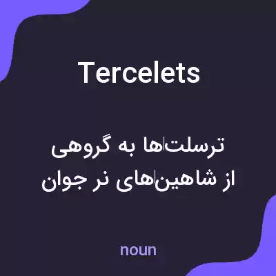 معنی tercelets به فارسی