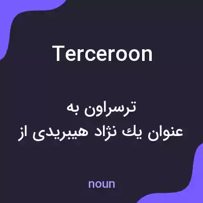 معنی terceroon به فارسی معنی terceroon به فارسی