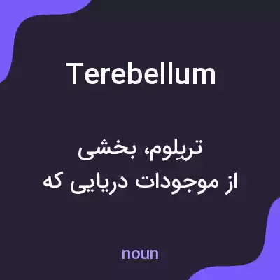 معنی terebellum به فارسی معنی terebellum به فارسی