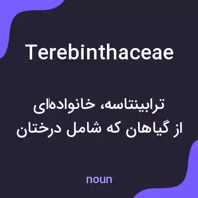 معنی terebinthaceae به فارسی معنی terebinthaceae به فارسی