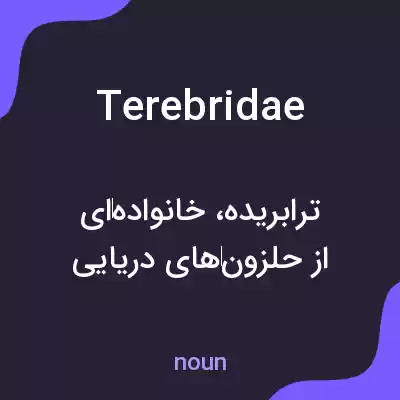 معنی terebridae به فارسی معنی terebridae به فارسی