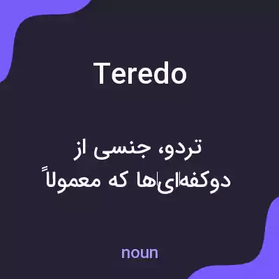 معنی teredo به فارسی معنی teredo به فارسی