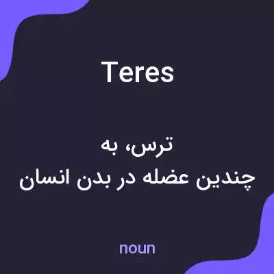 معنی teres به فارسی معنی teres به فارسی