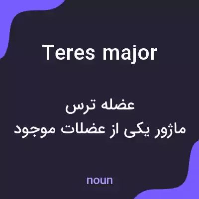 معنی teres major به فارسی معنی teres major به فارسی
