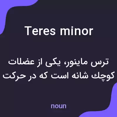 معنی teres minor به فارسی معنی teres minor به فارسی