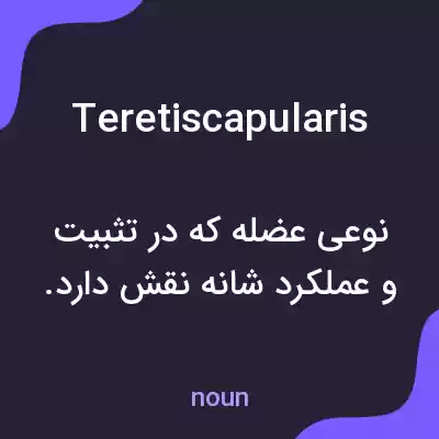 معنی teretiscapularis به فارسی معنی teretiscapularis به فارسی