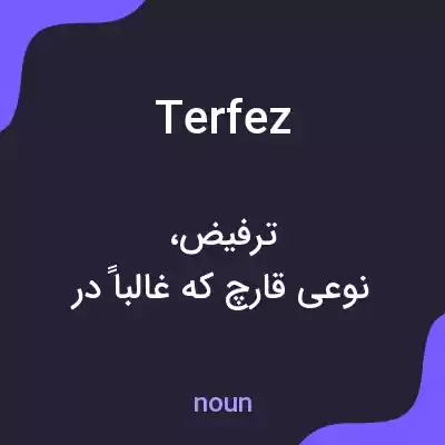 معنی terfez به فارسی معنی terfez به فارسی