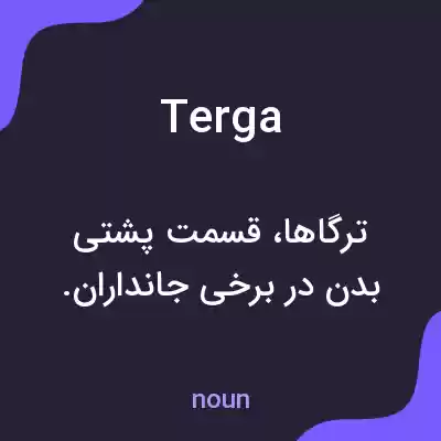 معنی terga به فارسی معنی terga به فارسی