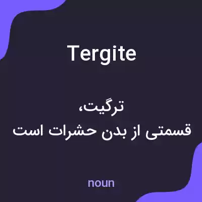 معنی tergite به فارسی معنی tergite به فارسی