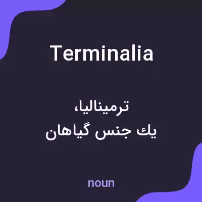 معنی terminalia به فارسی معنی terminalia به فارسی