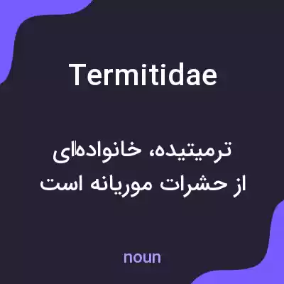 معنی termitidae به فارسی معنی termitidae به فارسی