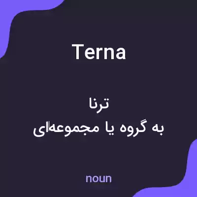 معنی terna به فارسی معنی terna به فارسی