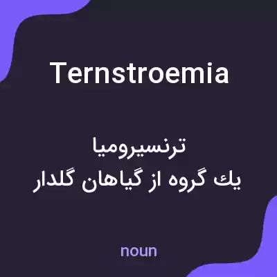 معنی ternstroemia به فارسی معنی ternstroemia به فارسی