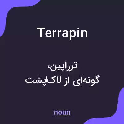 معنی terrapin به فارسی معنی terrapin به فارسی