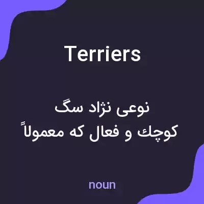 معنی terriers به فارسی معنی terriers به فارسی