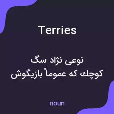 معنی terries به فارسی معنی terries به فارسی