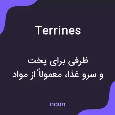 معنی terrines به فارسی معنی terrines به فارسی