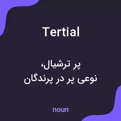 معنی tertial به فارسی معنی tertial به فارسی