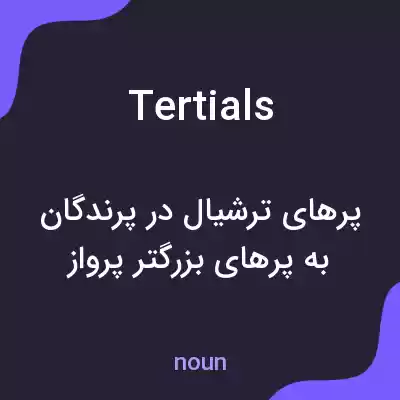 معنی tertials به فارسی معنی tertials به فارسی