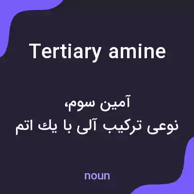 معنی tertiary amine به فارسی معنی tertiary amine به فارسی