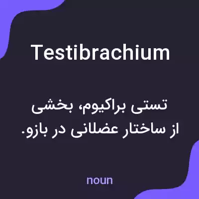 معنی testibrachium به فارسی معنی testibrachium به فارسی