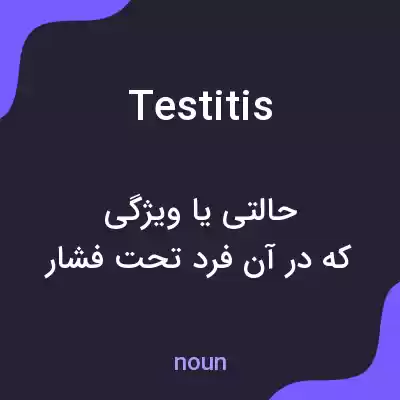 معنی testitis به فارسی