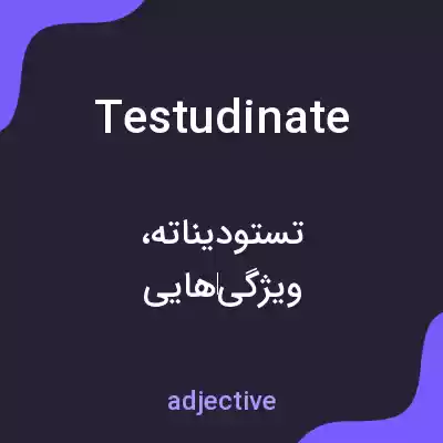 معنی testudinate به فارسی
