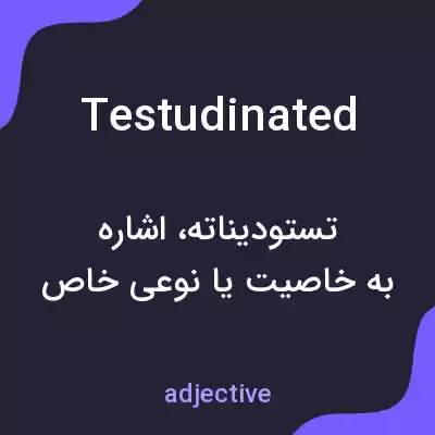 معنی testudinated به فارسی