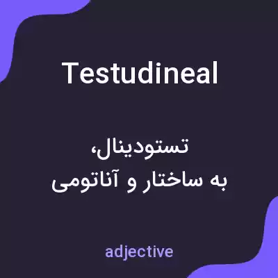 معنی testudineal به فارسی معنی testudineal به فارسی