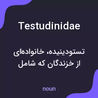 معنی testudinidae به فارسی معنی testudinidae به فارسی