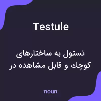 معنی testule به فارسی