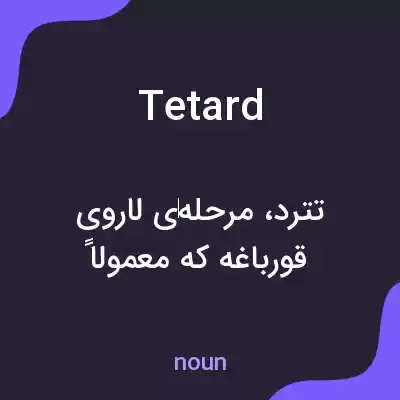 معنی tetard به فارسی معنی tetard به فارسی