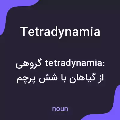 معنی tetradynamia به فارسی معنی tetradynamia به فارسی