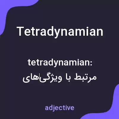 معنی tetradynamian به فارسی معنی tetradynamian به فارسی