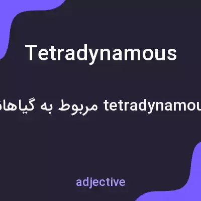 معنی tetradynamous به فارسی معنی tetradynamous به فارسی