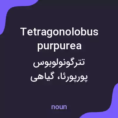 معنی tetragonolobus purpurea به فارسی معنی tetragonolobus purpurea به فارسی
