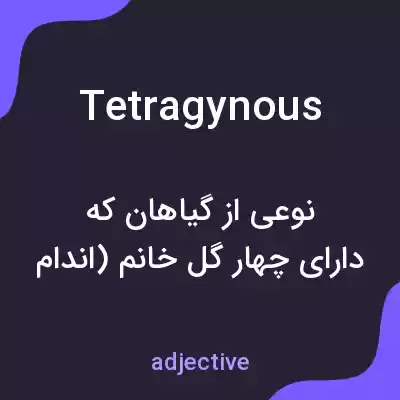 معنی tetragynous به فارسی معنی tetragynous به فارسی