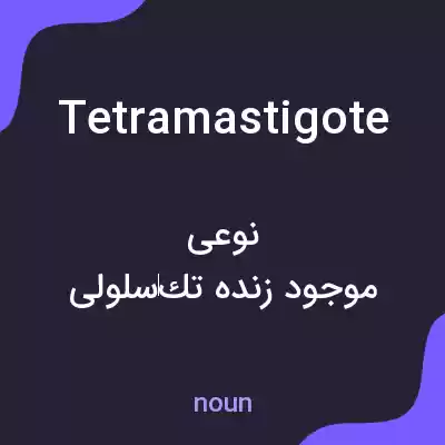 معنی tetramastigote به فارسی معنی tetramastigote به فارسی