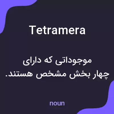 معنی tetramera به فارسی معنی tetramera به فارسی