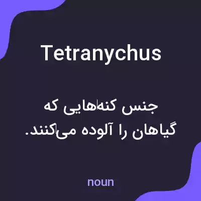 معنی tetranychus به فارسی معنی tetranychus به فارسی