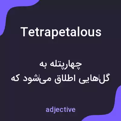 معنی tetrapetalous به فارسی معنی tetrapetalous به فارسی