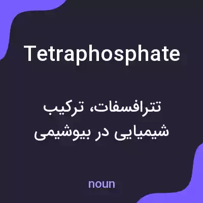 معنی tetraphosphate به فارسی معنی tetraphosphate به فارسی
