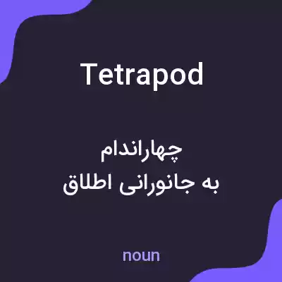 معنی tetrapod به فارسی معنی tetrapod به فارسی